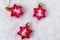 Funny colorful plastic stars as Christmas tree decorations