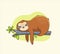 Funny colorful sloth sleeps on the branch.