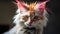 Funny Coloured Cat with Mohawk Hair Portrait for Pet Lovers.