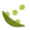 Funny comic peas from open pod. Cute green beans of vegetable. Amusing characters with sad, indifferent, bored, careless