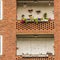 Funny contrasting city apartment balcony facades, one with blooming colorful flowers and  dead decoration