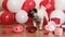 A funny cool pug with glasses celebrates Valentine's Day among red and white balls. Pets and holidays.