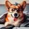 Funny corgi dog in glasses laying in bed, yawning, smiling, watching tv, feeling bored and relaxed in a day off