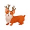 Funny corgi dog with reindeer horn hoop. Adorable home pet. Domestic animal. Flat vector element for postcard