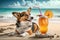 Funny corgi dog on sea beach, pet relaxes with cocktail on vacation, generative AI