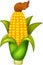 Funny corn cartoon standing on white background