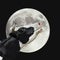 Funny cow on the background of large bright moon. A black and white cow moans at the moon.