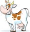 Funny cow cartoon standing on white background