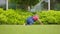 Funny Crawling Baby Toddler Girl On Backyard Lawn Grass.