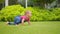 Funny Crawling Baby Toddler Girl On Backyard Lawn Grass.