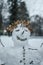 Funny creative snowman portrait