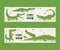 Funny crocodiles show set of banners vector illustration. Bird standing in mouth of alligator. Animal in different poses