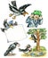 Funny crows