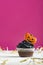 Funny cupcake decorated with gingerbread cookies pumpkins on pink background. Festive Halloween muffin