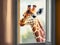 A funny curious giraffe looks through the window of a house, the concept of curiosity and interest, the AI generation