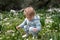 Funny cute adorable caucasian blonde baby girl, toddler in green field of daisy, camomiles gathering flowers.Curious