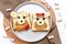 Funny cute bear,dog faces sandwich toast bread with peanut butter, banana, apple, marshmallow. Kids childrens baby`s sweet desser