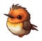 Funny and cute bird transparency sticker, Rufous Hummingbird