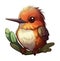 Funny and cute bird transparency sticker, Rufous Hummingbird