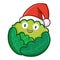 Funny and cute cabbage wearing Santa`s hat for Christmas