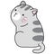 Funny and cute cartoon cat