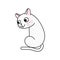 Funny and cute cartoon cat