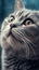 Funny and Cute Cat Wallpapers for Android with Detailed Facial Features in Silver .