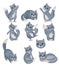 Funny cute cats with different emotion.Cheerful Domestic cats different poses. Gray Cat characters. Vector illustration