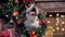 Funny cute English bulldog portrait wearing christmas wreath sitting under fir tree. Merry xmas and happy new year