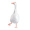 Funny cute goose watercolor illustration