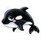Funny cute happy orca vector isolated illustration