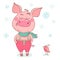 Funny cute pig with an arrogant expression, dressed in in pink pants