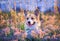 funny cute puppy dog redhead Corgi sits on Sunny summer warm meadow with blue flowers and smiles