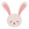 Funny cute rabbit little head animal cartoon