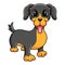 Funny Cute Rottweiler Dog Happy