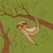 funny and cute smiling Three-toed sloth wink on branch brown green beige color background. sketch, drawing by hand. Vector