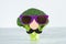 Funny cute vegetables broccoli. Broccoli with paper mustache and glasses. Healthy food concept