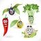 Funny cute vegetables smiles - celery, cauliflower, olives, chili