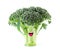 Funny cute vegetables smiles. Happy broccoli.