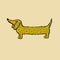 Funny Dachshund Dog. Dog vector illustration. Dachshund on a yellow background