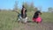 Funny dachshund dogs in coloured t-shirts bark on meadow