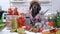 Funny dachshund farmer dog in plaid shirt and straw hat prepares equipment and products for canning vegetables and