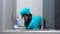 Funny dachshund puppy in blue bath robe and towel appears