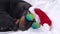 Funny dachshund puppy in Santa hat and fashionable sunglasses with chromatic polarized lenses sleeps on bed at home