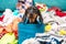 Funny dachshund puppy sits in cloth storage box and winks, clothes scattered around. Naughty playful baby dog interferes