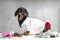 Funny dachshund wearing white medical dress, standing between different medicines and supplies, bottles and pills.