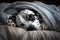 funny dalmatian puppy lying covered in throw blanket and falling asleep, Generative AI