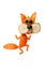Funny dancing squirrel made of orange