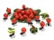 Funny decorative ants carrying tomatoes and lettuce in a plate