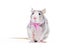 Funny decorative rat with pink bow